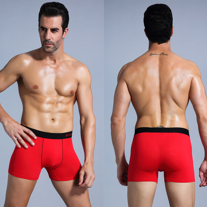 6pcs White Men Panties Cotton  - đánh giá và giá Boxer Brief Pack Cotton