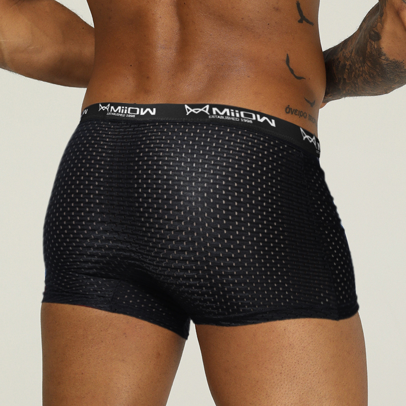 MiiOW Mesh Men Underwear Boxer - đánh giá và giá Boxer Shorts Modal
