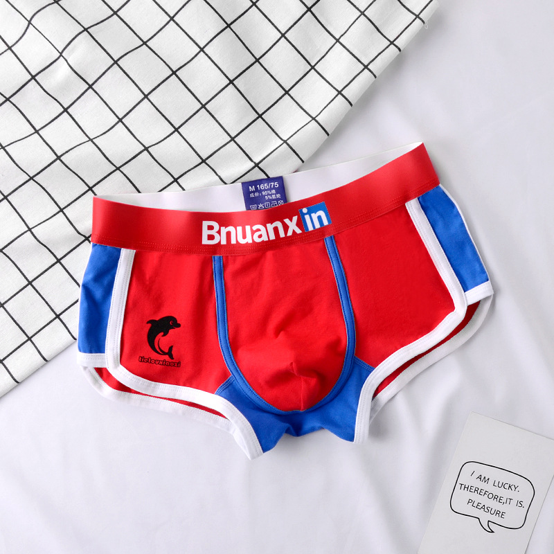 Man Underwear Fashion Youth Co - đánh giá và giá Boxer Brief Pack Cotton