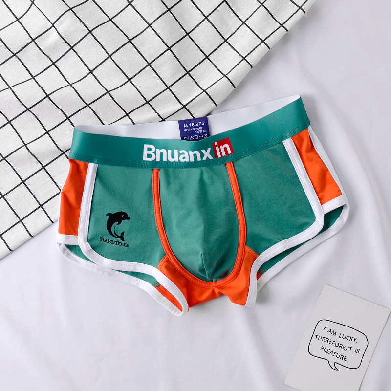 Man Underwear Fashion Youth Co - đánh giá và giá Boxer Brief Pack Cotton