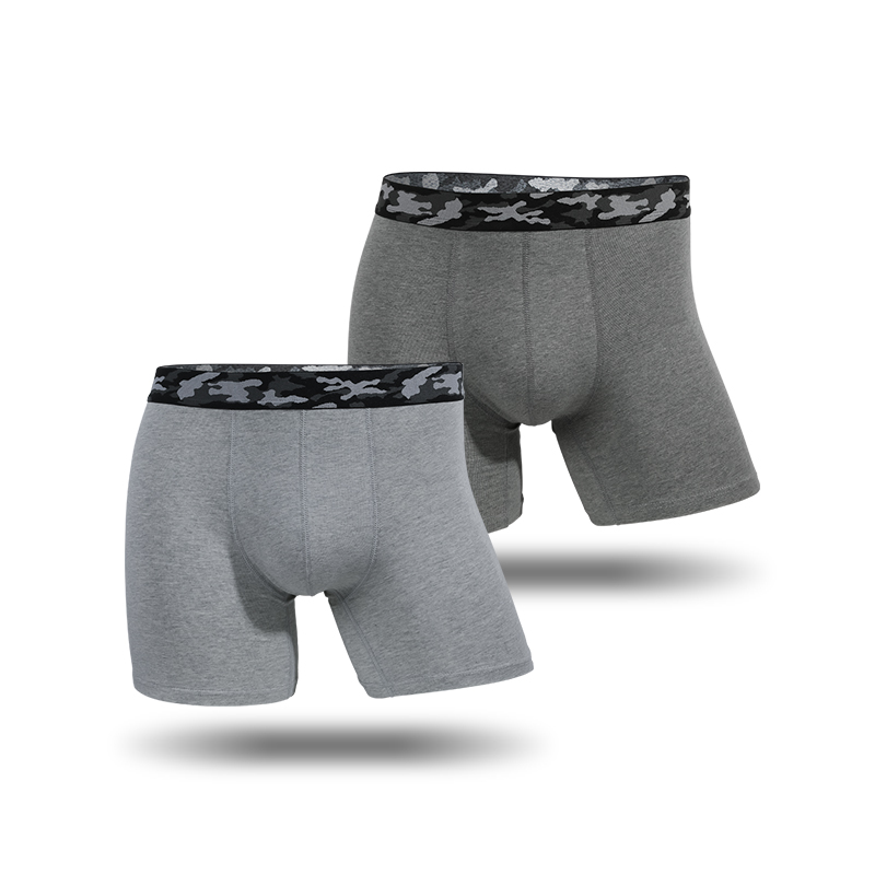 Plus-size men's underpants ant - đánh giá và giá Boxer Brief Pack Cotton