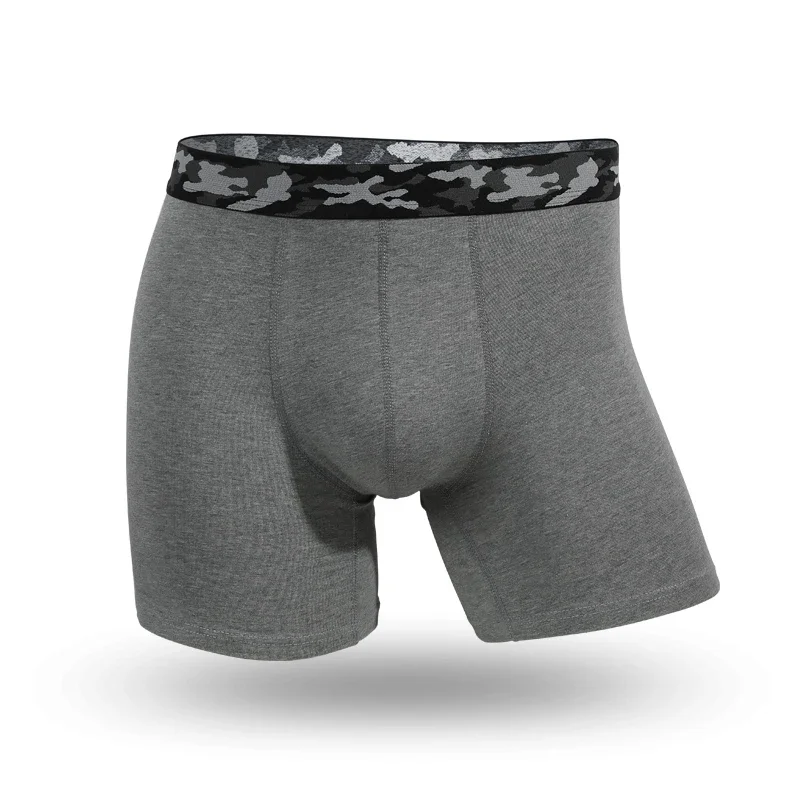 Plus-size men's underpants ant - đánh giá và giá Boxer Brief Pack Cotton