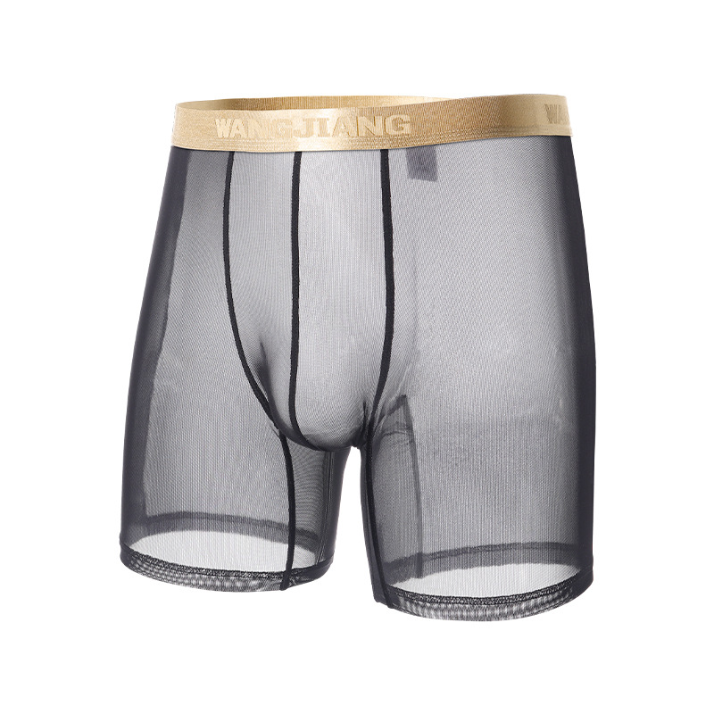 Wangjiang Men's Mesh Boxer Sho - đánh giá và giá Mesh Sport Boxer