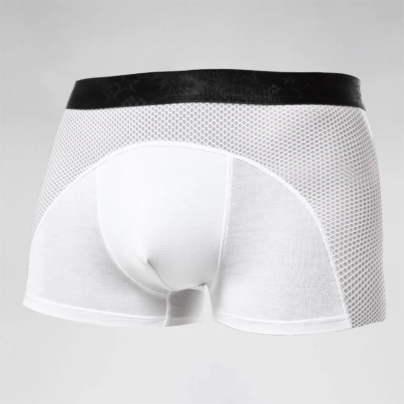 Men's underwear, men's ice sil - đánh giá và giá Mesh Sport Boxer