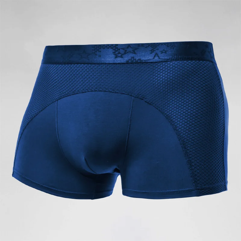 Men's underwear, men's ice sil - đánh giá và giá Mesh Sport Boxer